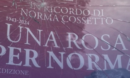 Danneggiato manifesto di Norma Cossetto: i commenti di Fratelli d'Italia