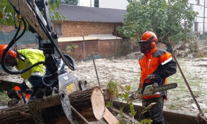 Protezione civile in soccorso alle zone dell'Emilia Romagna alluvionate