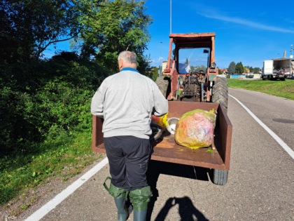 Puliamo il mondo: recuperati pezzi di tapparella, biciclette e una panca scolastica