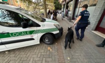 Abbiategrasso: operazione antidroga con agenti in borghese e cani