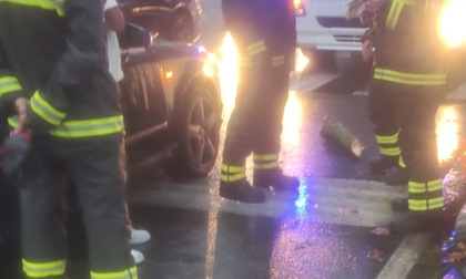 Maltempo, ramo cade a terra e finisce sotto un'auto in corsa