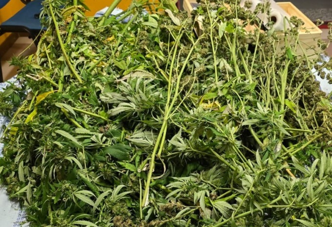Teneva la droga…in giardino: arrestato