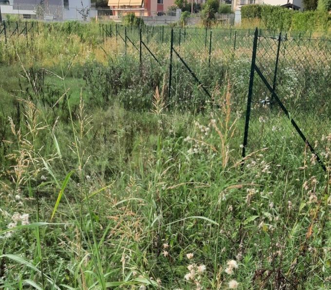 “Gli orti comunali sono abbandonati, ci vivono pure le bisce”