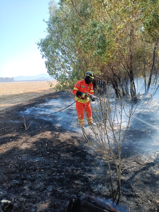 Prevenzione incendi, terminata la missione sarda dei volontari del Parco del Ticino