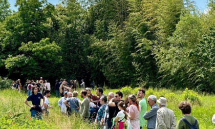 Il Giardino di Fondazione La Comune apre le porte