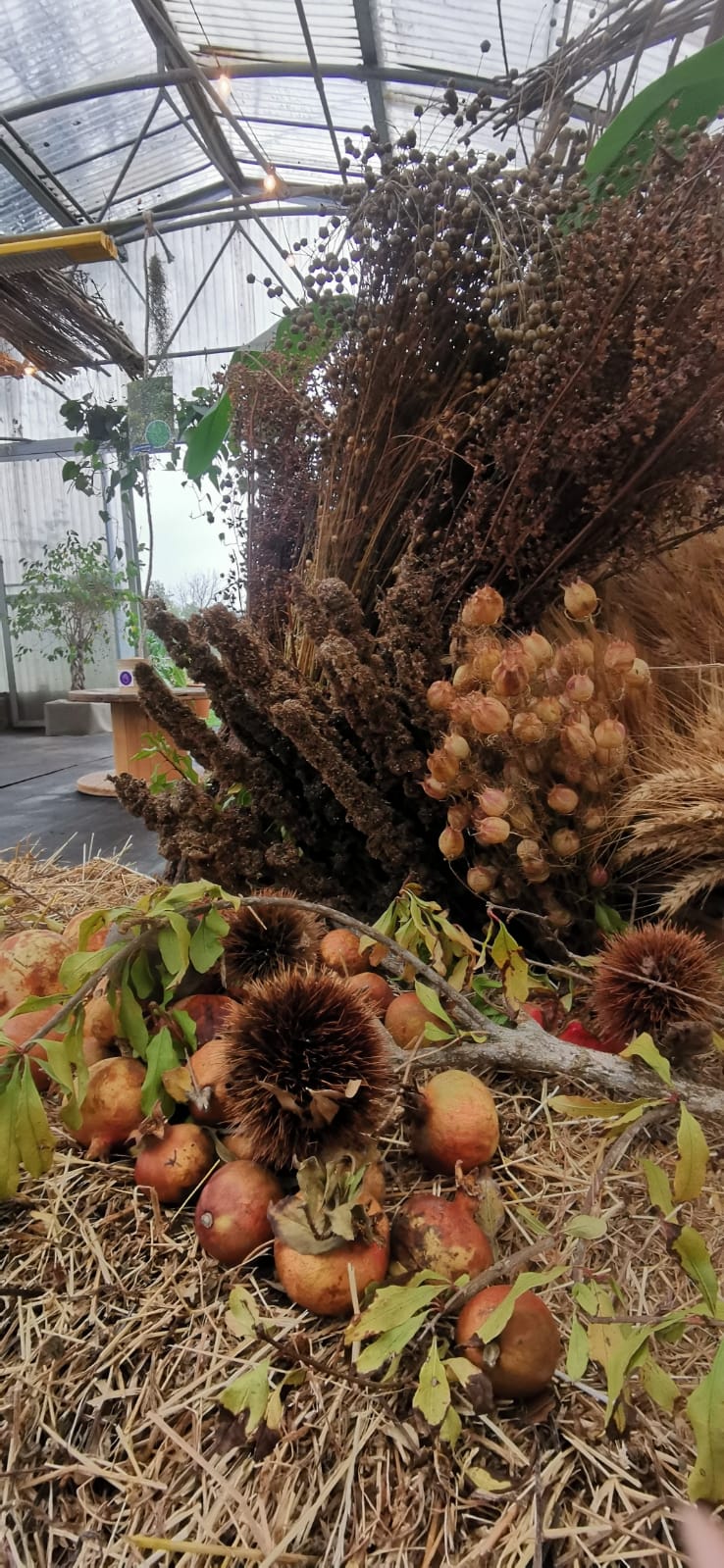 Ambientazione Il Giardino di Fondazione La Comune