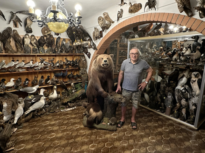 In casa con mille animali impagliati