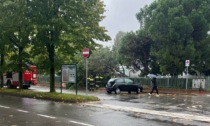 Albero caduto nel giardino della materna