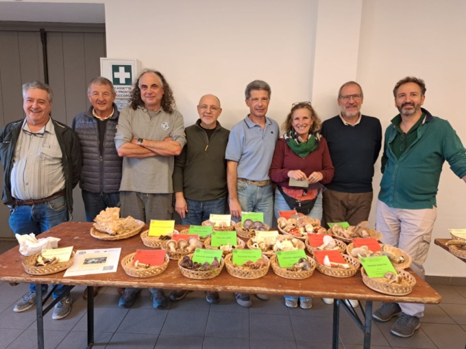 Più di 200 specie esposte alla Mostra micologica di Legnano