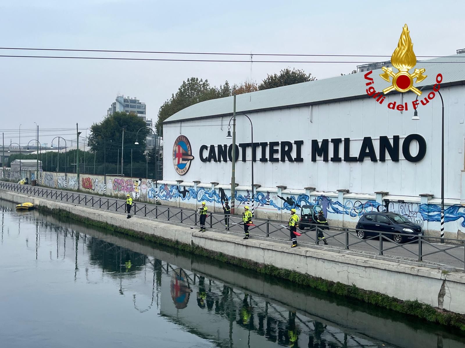 Capriolo finisce nel Naviglio