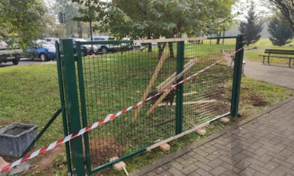 Più posti auto in via Varese e una nuova area cani nel quartiere Mascagni