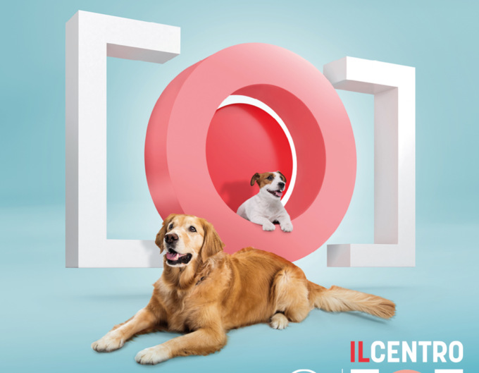 A Il Centro di Arese arriva Zoomunity Dog show