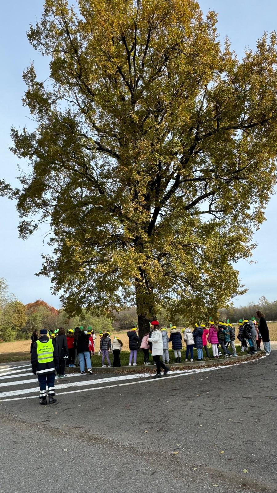 Vanzaghello Giornata dell'albero scuola 3