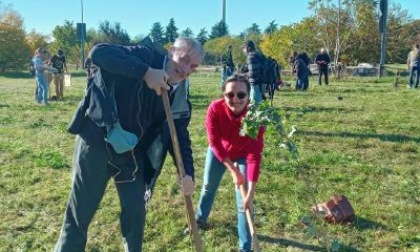 Parchi pubblici e giardini scolastici, presto piantumati 320 nuovi alberi