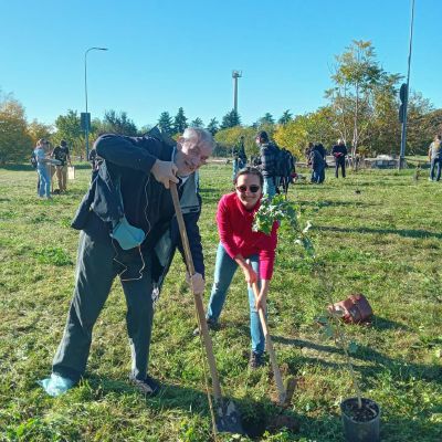 Parchi pubblici e giardini scolastici, presto piantumati 320 nuovi alberi