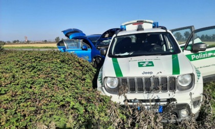 Inseguimento e speronamento dell’auto della Polizia Locale