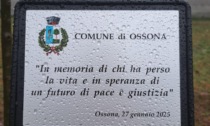 Piantumato a Ossona «L'Albero della Memoria»