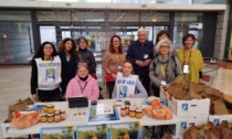 In piazza a Legnano tornano i volontari con le arance dell'Airc