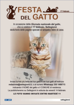 Giornata nazionale del gatto, mandateci le foto dei vostri mici