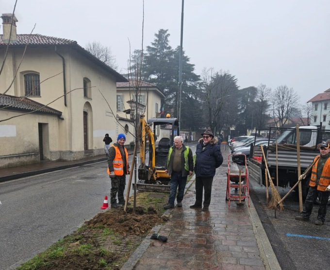 Abbiategrasso: nuove piantumazioni in città