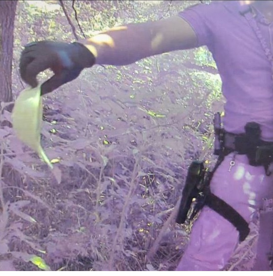 Spaccio, smantellate due bande: cinque arresti