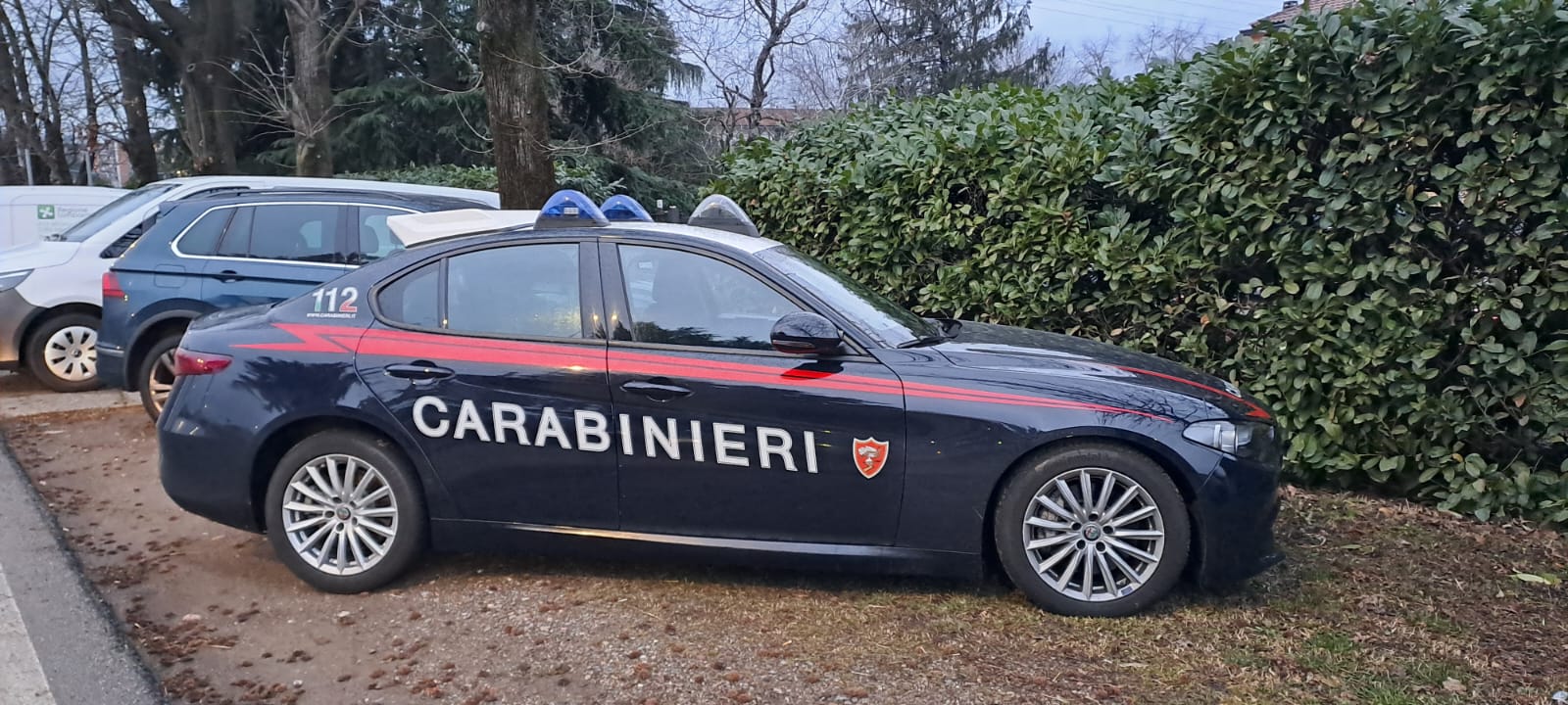 cerro patrizio donati veterinario cani via san clemente