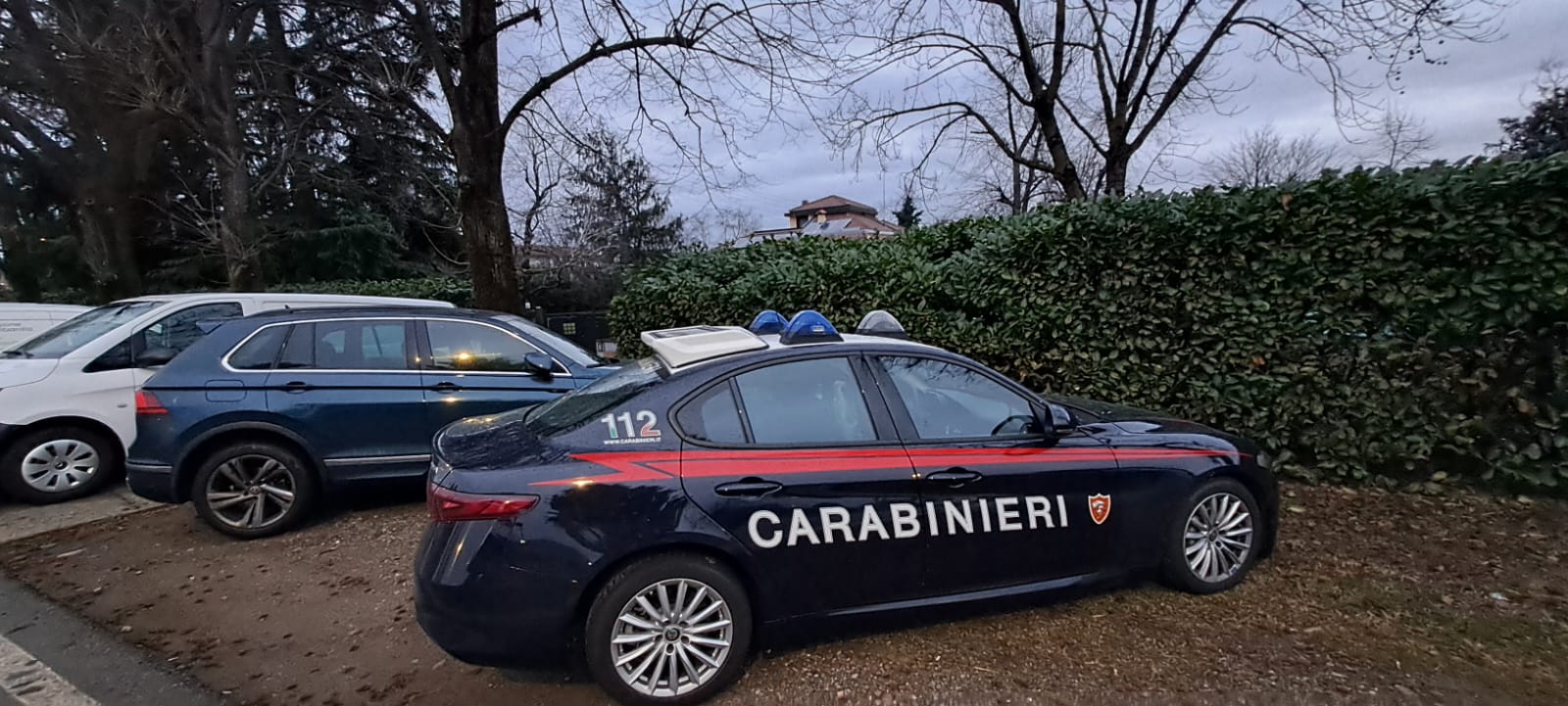 cerro veterinario patrizio donati cani