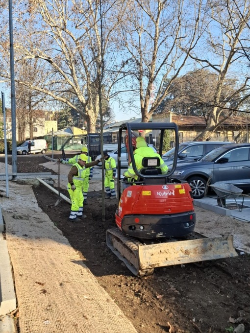 In piazza San Magno arrivano gli alberi dei tulipani