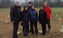 Forestami a Corbetta: 700 nuovi alberi per il Bosco Urbano