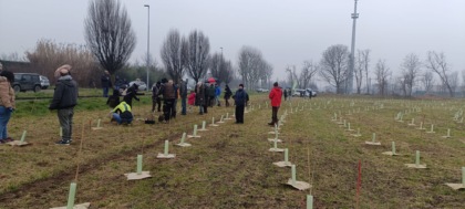 Corbetta: con il progetto Forestami 700 nuovi alberi nel Bosco Urbano