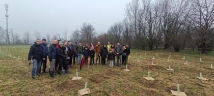 Corbetta: con il progetto Forestami 700 nuovi alberi nel Bosco Urbano