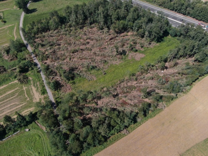 Bando regionale per il ripristino dei boschi danneggiati del Parco dei Mughetti