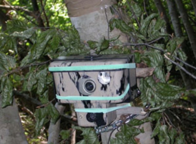 Nuove fototrappole per “catturare” chi abbandona i rifiuti