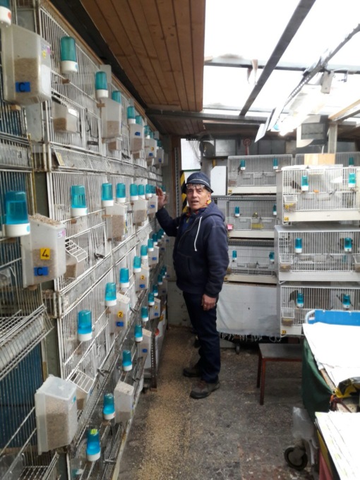 Gaggiano: Mauro Calvi primo ai Mondiali di ornitologia