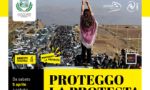 Una mostra di Amnesty international per proteggere il diritto alla protesta