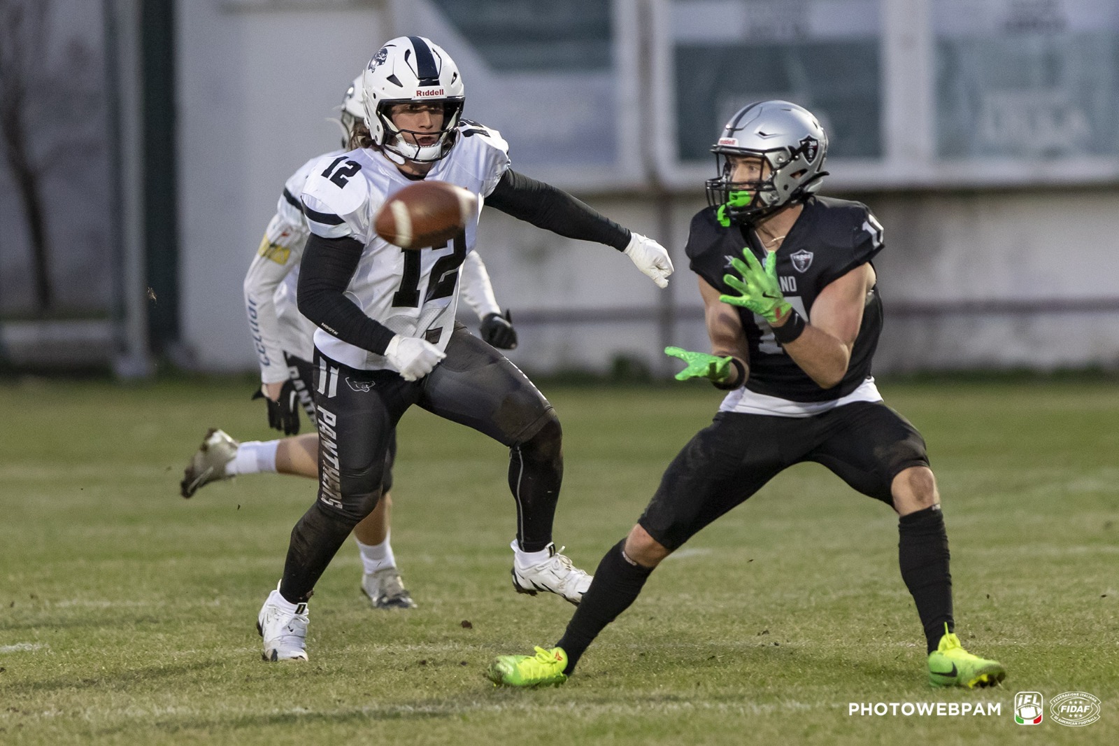 Frogs Legnano contro Parma