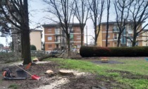 Dodici nuovi parcheggi in via De Gasperi: «Così limiteremo il caos delle auto»