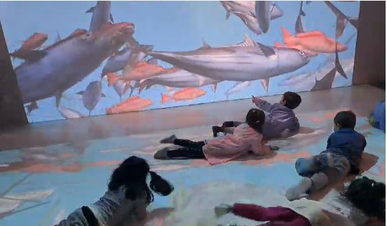Un’aula immersiva per la scuola dell’infanzia
