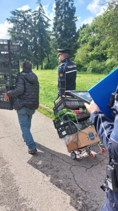Controlli al mercato, allontanato abusivo