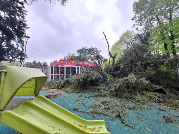 Albero cade sulla giostra nel parco