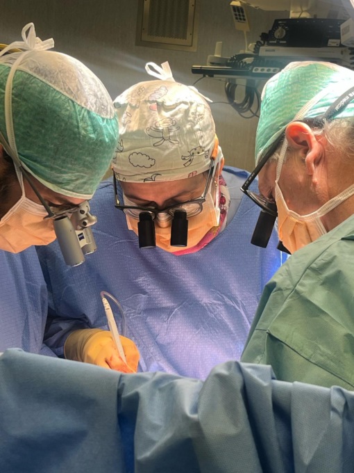 Uno stent di ultima generazione per il trattamento della dissezione aortica