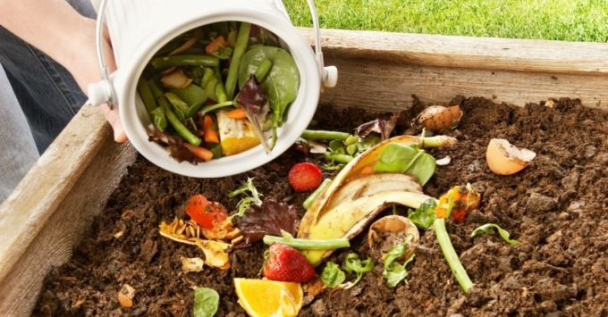 Arriva il corso di compostaggio domestico online