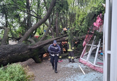 Albero cade sulla giostra nel parco