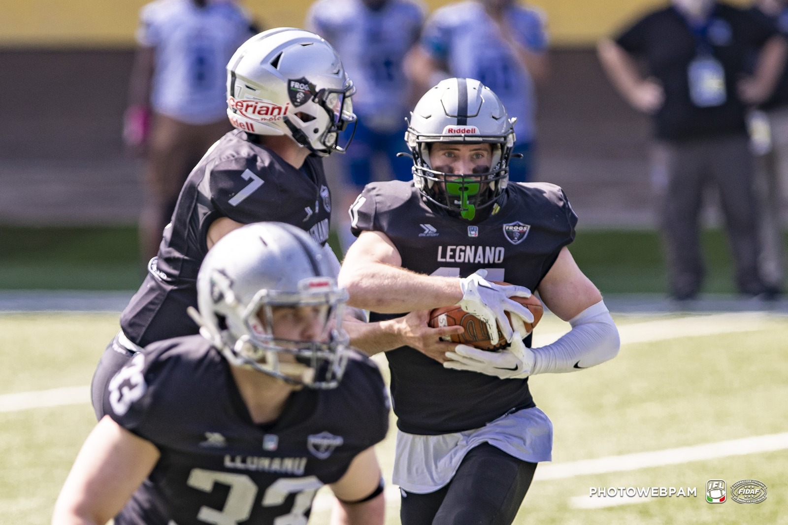 Frogs legnano