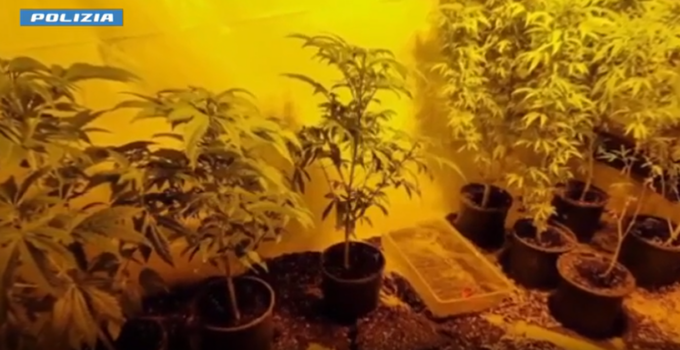 Detenzione e spaccio di droga: arrestate 24 persone