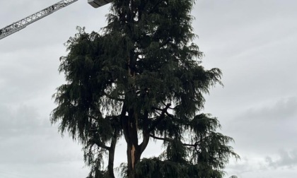 Fulmine colpisce un albero: arrivano pompieri, Polizia Locale e Carabinieri
