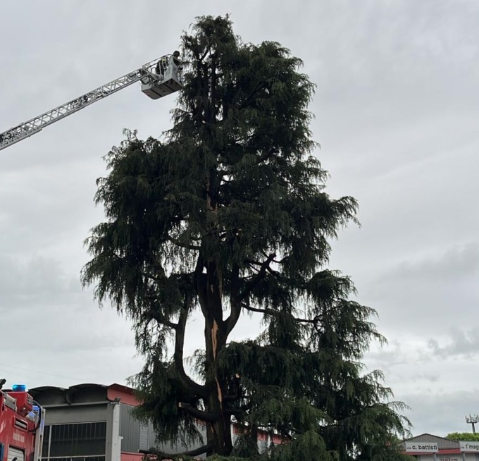 Fulmine colpisce un albero: arrivano pompieri, Polizia Locale e Carabinieri