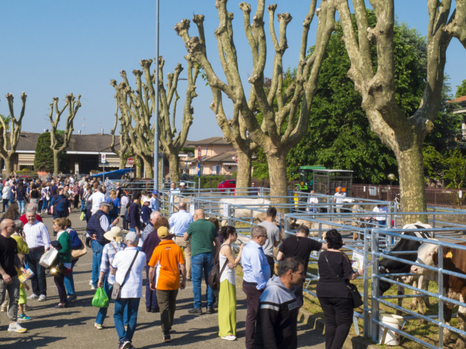 Successo per la Fiera di San Majolo, in migliaia per celebrare il mondo agricolo
