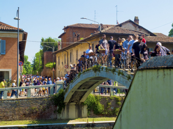 Successo per la Fiera di San Majolo, in migliaia per celebrare il mondo agricolo