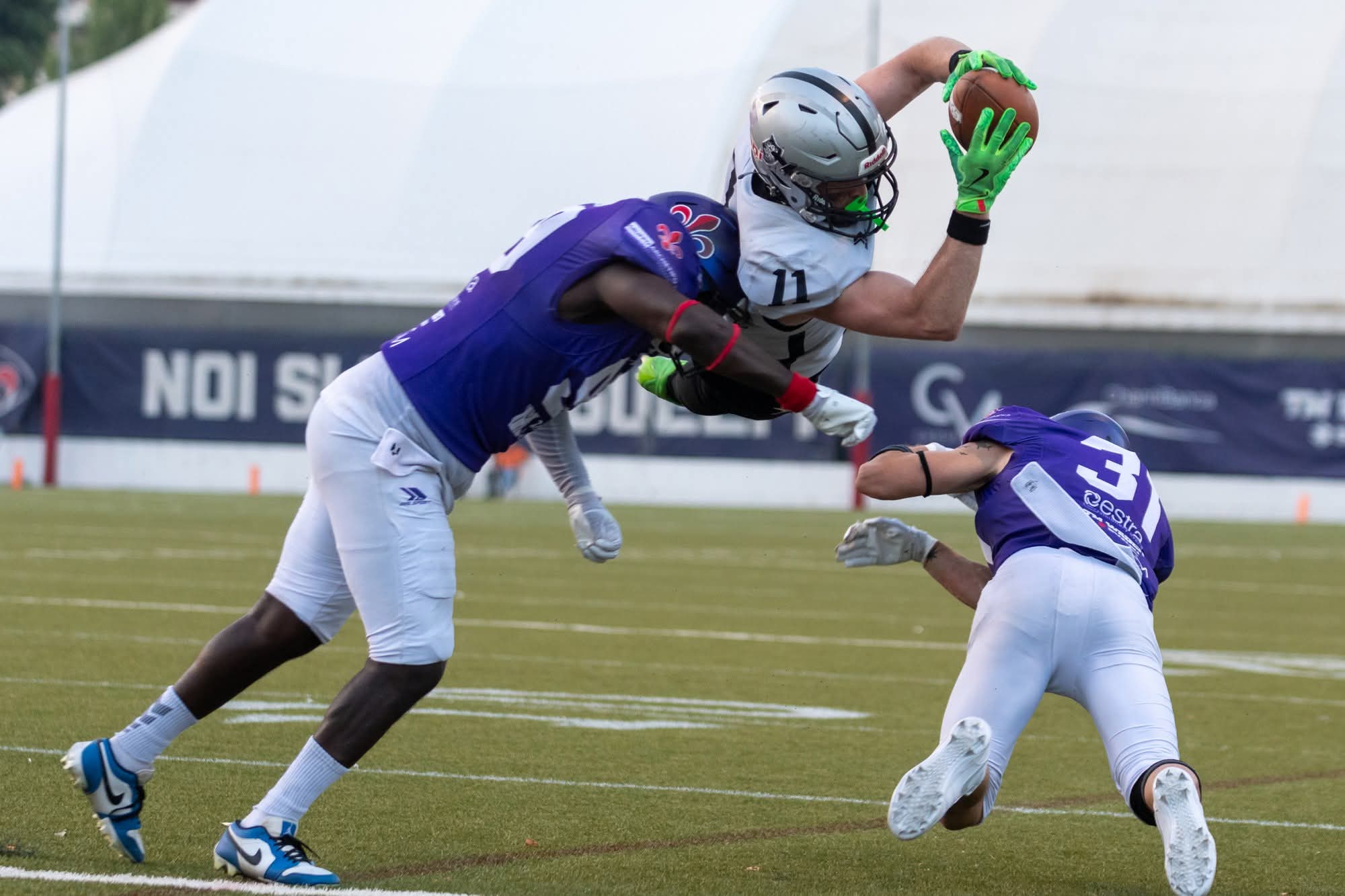 Frogs Legnano